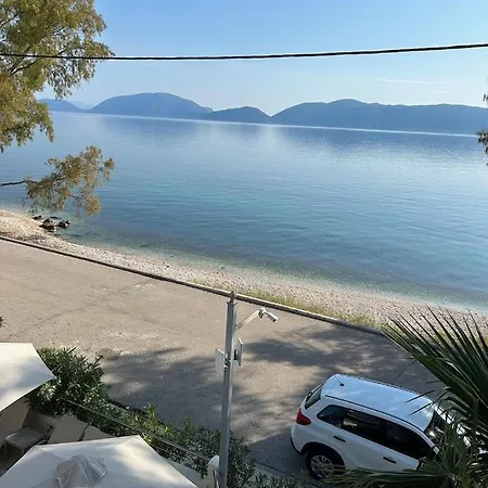 Eucalyptus Sea View *